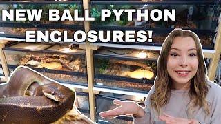 Setting Up 5 Snake Enclosures! | Ball Python Enclosure Makeover