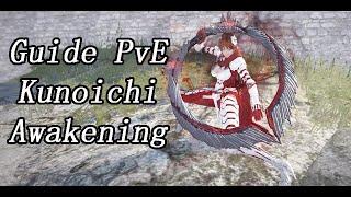 [BDO] Quick Guide, Kunoichi Awakening PvE