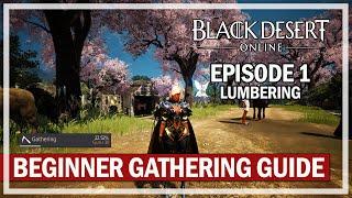 LUMBERING - Beginner Gathering Lifeskill Guide 2022 - Episode 1 | Black Desert