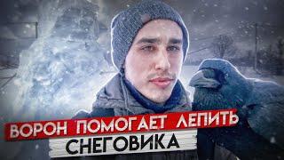 Лепим снеговика и радуемся оттепели! / Гоша первый раз купается.