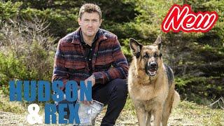 [ NEW ] Hudson & Rex 2024 | Sid and Nancy | Canine Crime Solvers Full Episode HD ‍ ‍ ‍