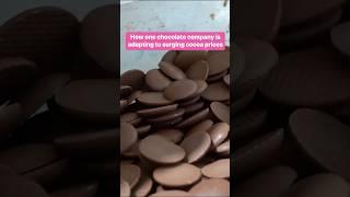 Here's how this #chocolate company had to pivot to stay afloat. #cocoa #foodindustry