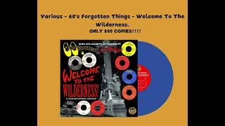 Sunnyboy66 Records presents Various - 60's Forgotten Things LP (THE REAL THING - I Don't Need You)