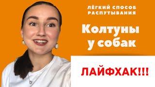 КОЛТУНЫ У СОБАК: лёгкий и быстрый способ вычёсывания (ЛАЙФХАК!)