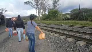 Mujer rompe en llanto, tras la experiencia de lanzar comida a migrantes que van en La Bestia