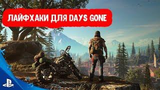 Лайфхаки для Days Gone. Полезные советы новичкам.