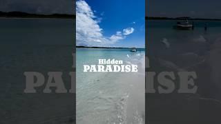 Florida’s Hidden Paradise | Things To Do Tampa Bay