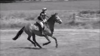 Blackwell Equestrian - Our Journey