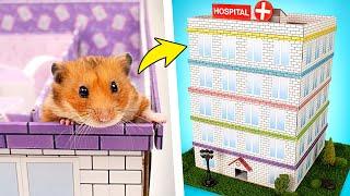 Hospital Labirinto de Cinco Níveis DIY para o Hamster ️