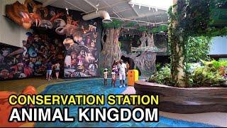 [4K] Conservation Station - Animal Preservation : Animal Kingdom (Orlando, FL)