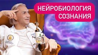 ТАЙНЫ СОЗНАНИЯ ЧЕЛОВЕКА. Нейробиология разума.