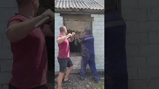 вырезали и вставили окно #жизньвселе #рецепты #семейныйканал #село #огород #дача
