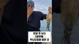 인생 첫 낚시 5분만에 무늬오징어 잡은곳