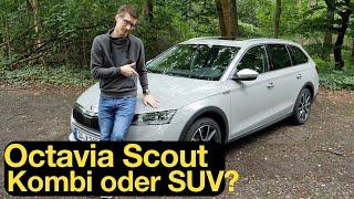 2022 Skoda Octavia Scout: Besser als ein SUV oder schlechter als ein Kombi? [4K] - Autophorie