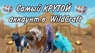 ~| ПОЛНЫЙ ОБЗОР МОЕГО АККАУНТА WildCraft / ТРАТИМ ВСЕ КРИСТАЛЫ |~