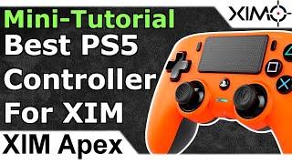 Best PS5 Controller for XIM Apex (Play PS5 Games With XIM)