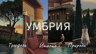 Жизнь в особняке XX века! VLOG: Италия, Умбрия Охота на чёрный трюфель, лучшие оливки в моей жизни