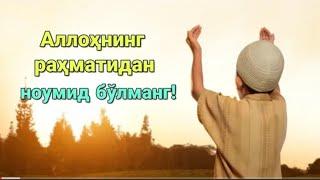 Allohning Raxmatidan Noumid Bo'lmang.