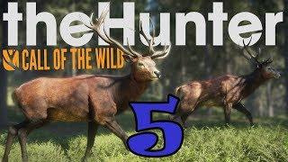 Прохождение игры Thehunter call of the wild. #5 Выбиваем ЗОЛОТО!