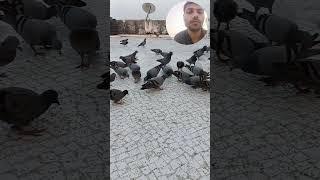 jivdaya mom priya priyam love all animals and birds #new#viral