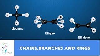 CHAINS, BRANCHES AND RINGS