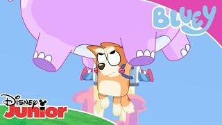  Falling Hippo | Bluey | Disney Junior Africa