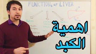 Hepatology Liver Functions وظائف الكبد