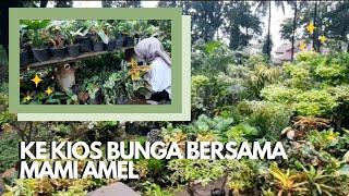 Ke kios Bunga Bersama Mami Amel | Edisi Planttour