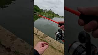 How To Cast A Spinning Reel (For Beginners)