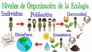 Niveles de Organización de la Ecología [Fácil y Rápido] | BIOLOGÍA |