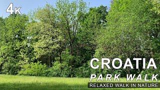 First person walking in the woods | relaxed walk in nature