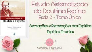 Aula 02 - ESDE 3 - Ensaio teórico das sensações e percepções dos Espíritos; Espíritos Errantes