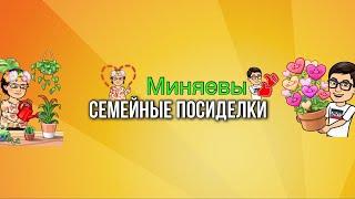 МИНЯЕВА ЮЛИЯ  СЕМЕЙНЫЕ ПОСИДЕЛКИ ТРАНСЛЯЦИЯ