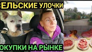 Едем с дачи домой. Покупки на рынке.