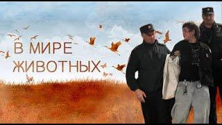 Обратная эволюция Виолетты Малышенко