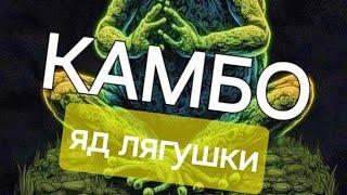  Камбо | Яд лягушки | Интервью с проводником