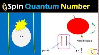 Spin Quantum Number|What is Spin Quantum Number| Electron Spin| Goudsmith and Uhlenbeck's concept