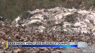 Forsyth police investigating over 100 deer hides, hind legs disposed illegally