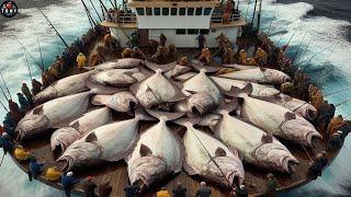 Super Huge Fish   How Fishermen Get These Giant Fish Onto Their Boats