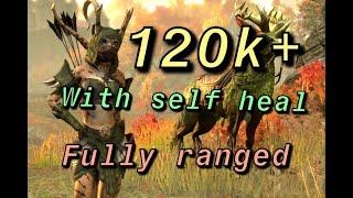 ESO u44 Stamina Warden =  Easy 120K DPS With NO STAND STILL SETS: 2 Self heals + Major/Minor Resolve