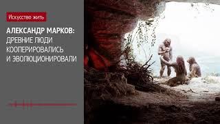 Александр Марков: Древние люди кооперировались и эволюционировали