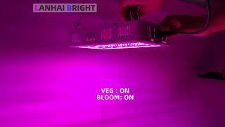 1200W Full Spectrum Horticultural LED Grow Lights with VEG BLOOM Double Switch