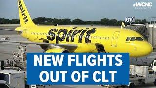 Spirit launches new flights out of Charlotte Douglas