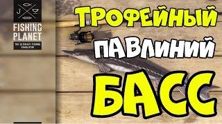 Fishing Planet прохождение | Трофейная Павлиний Басс | Флорида, Эверглейдс