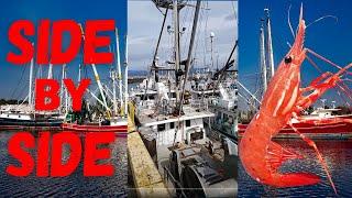 Side by Side / French Creek Marina / Dock BC
