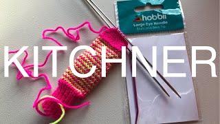 9.20.24 Kitchner Stitch and a special guest!