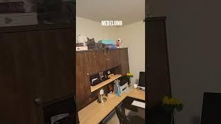 Where did the Nebelung hide/USA/Где спрятался Небелунг/США/ #shorts