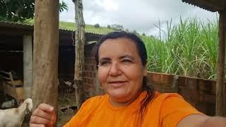 I was alone on the farm, Chica gave birth to two children and got sick + I made paprika Ana Paula...