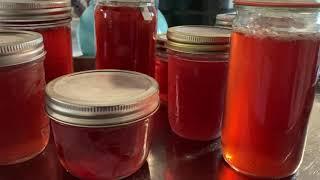 Apple Scrap Jelly | Using Cores And Peels To Make Delicious Jelly