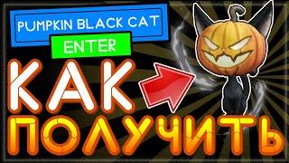 Как получить кота с тыквой в роблокс на телефоне андроид или ПК Pumpkin Black Cat?